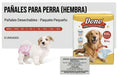 Pañales para mascotas hembra